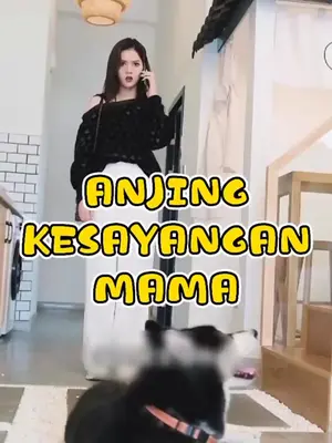 #tiktokbeautyunboxing #tiktokfasionunboxing #dramaviral #fypシ