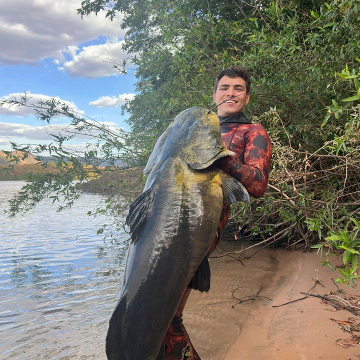 Tocantins sub