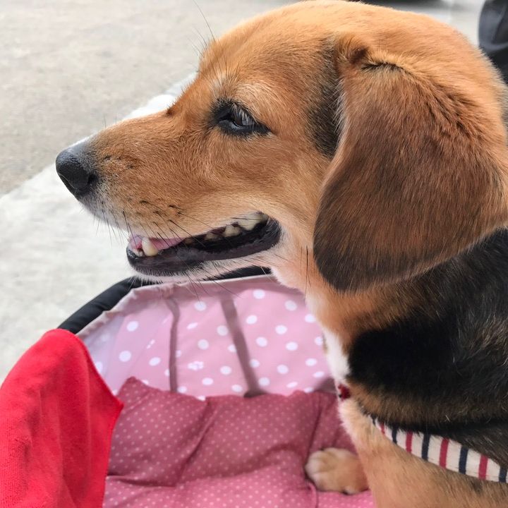 ユウタン