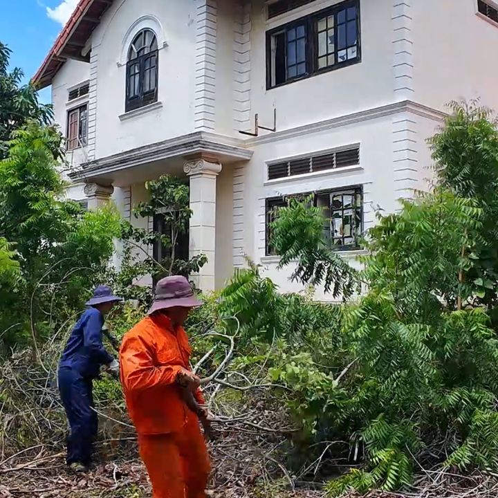 Clean The Old House
