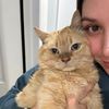 Timmy the Chonk