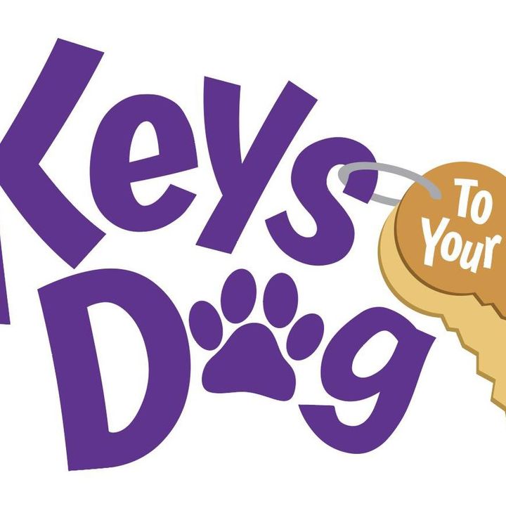 Keystoyourdog