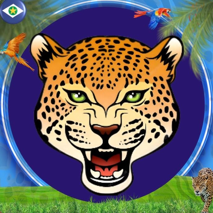 Portoestrelamilgrau_OFI