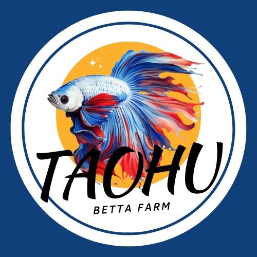 TAOHU BETTA FARM ð