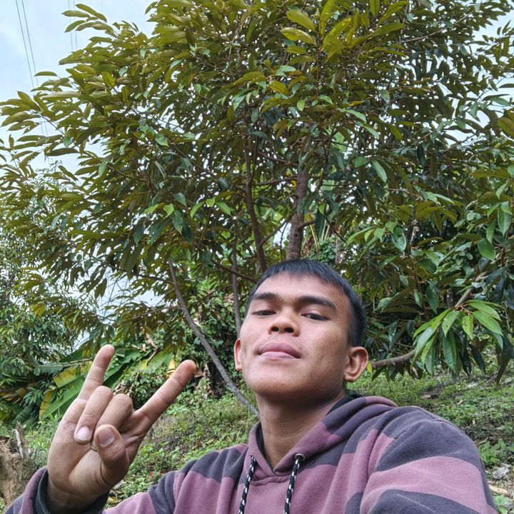FARLY MEGEA