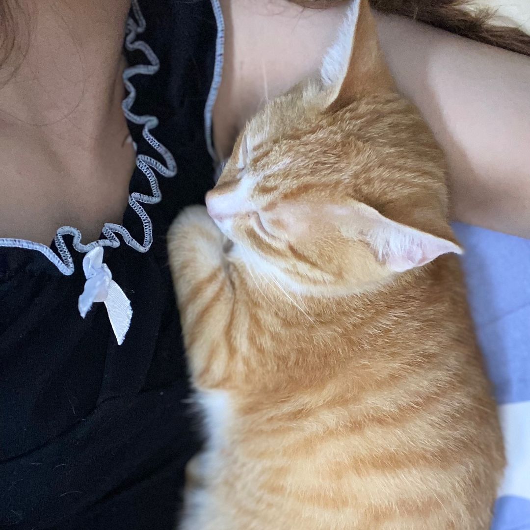 ₊˚Bow_weee｡⋆˚ʚɞ