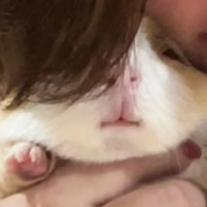 แกสบี้จูดี้