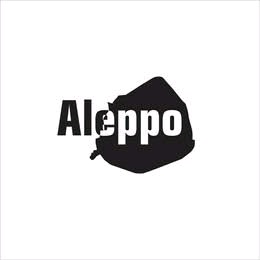 Aleppo store