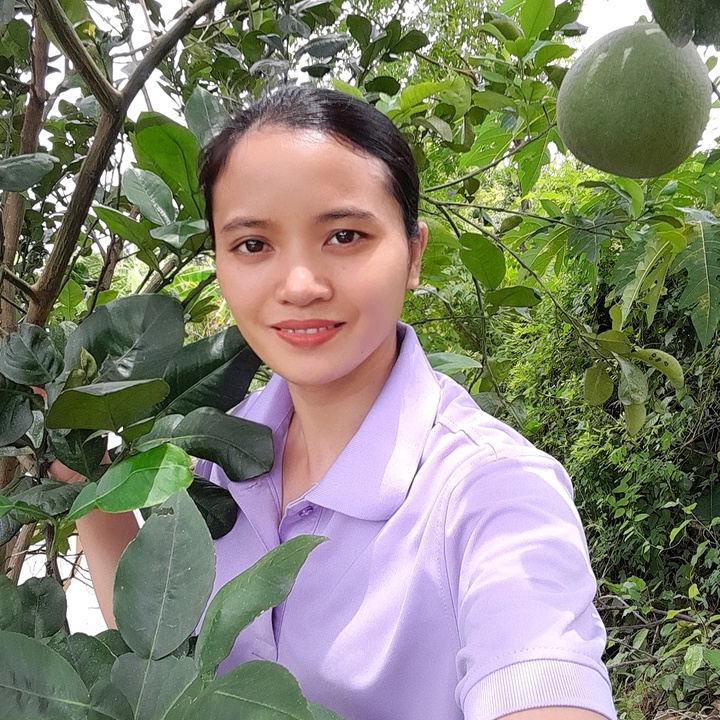 Toàn Trải Nghiệm
