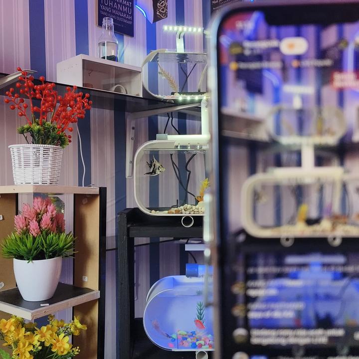 GalleryAquatic