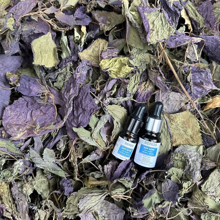 Kiều Thuý ( Dược Thảo Xanh)