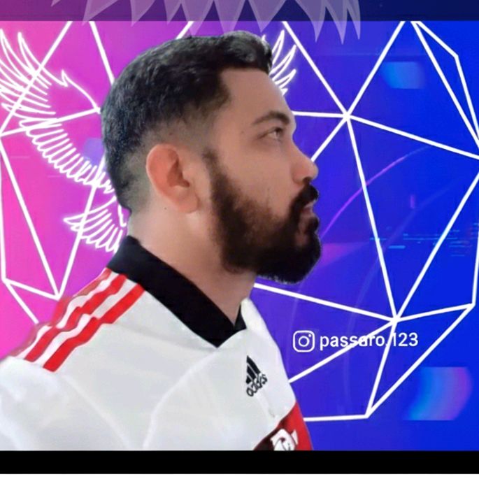 passaro🦅🦅🦅