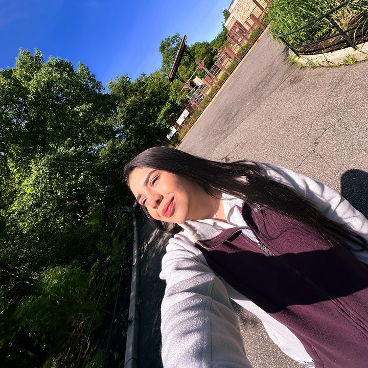 Alevisual_co