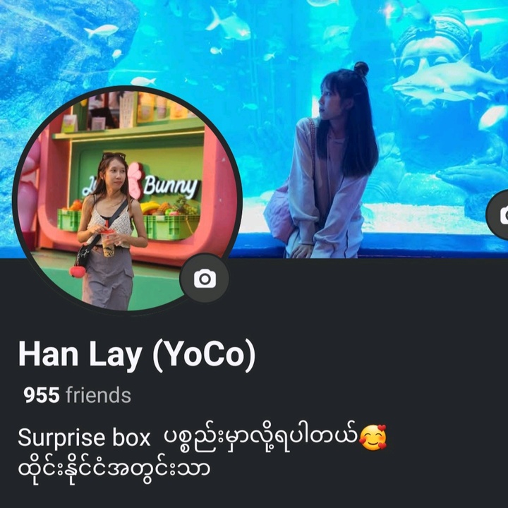YoCo Suprise box