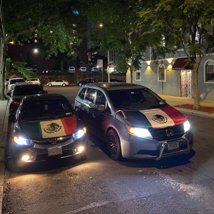Picazo Picazo