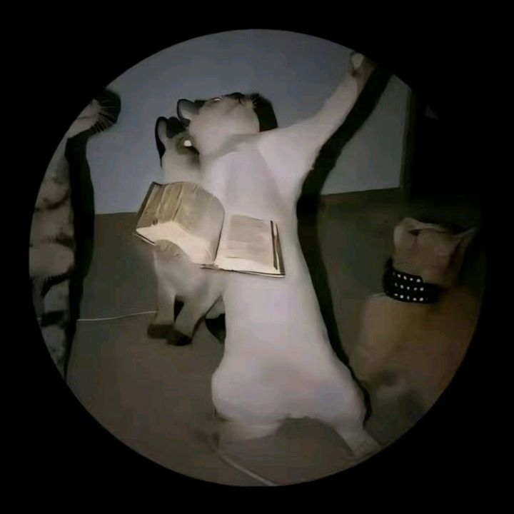 its_Félix.__.