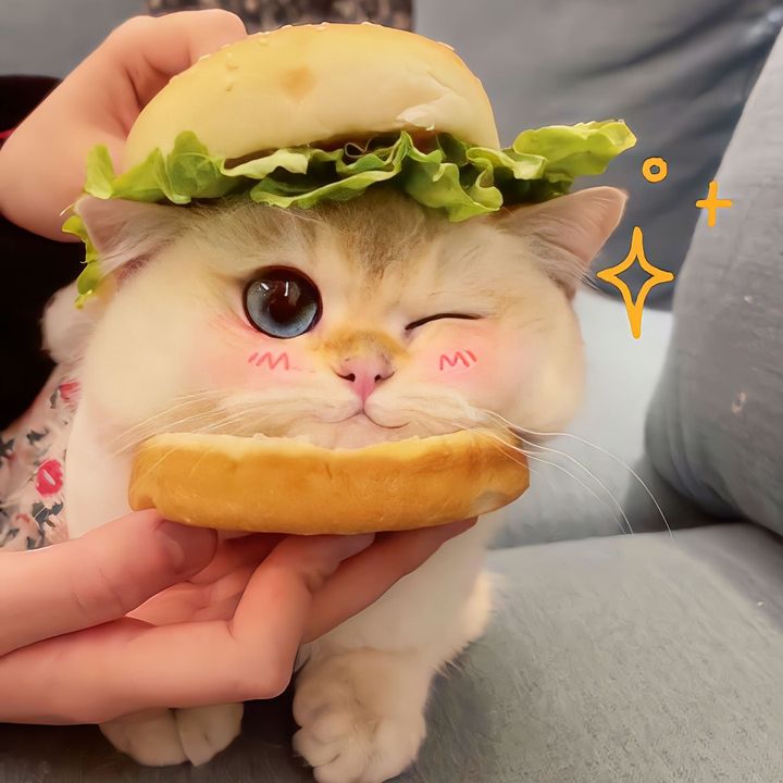 Pet paradise m3636