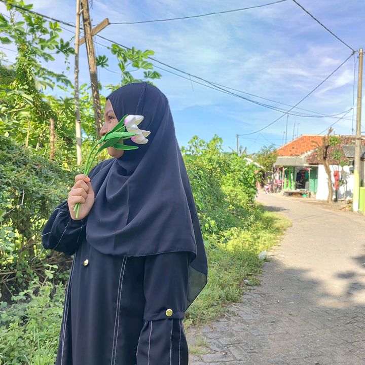 Anisaimron