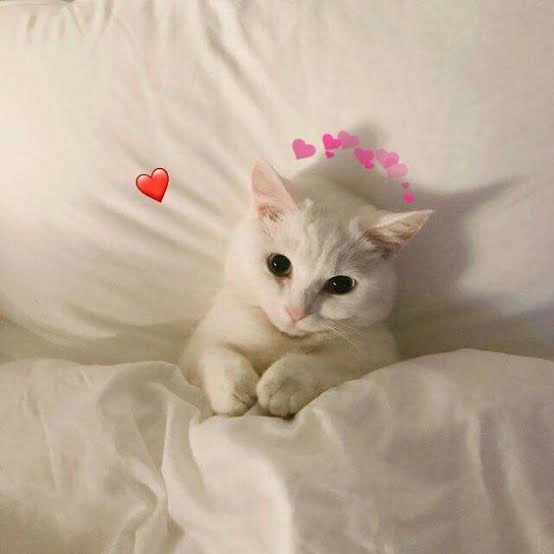 น้องอ๊อกรีวิว