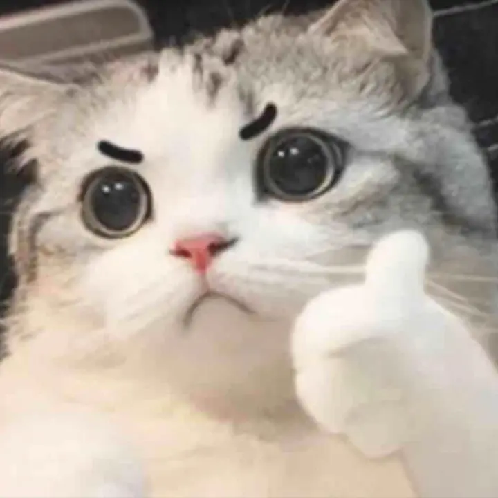 น้องแงวมาป้ายยา 🐱