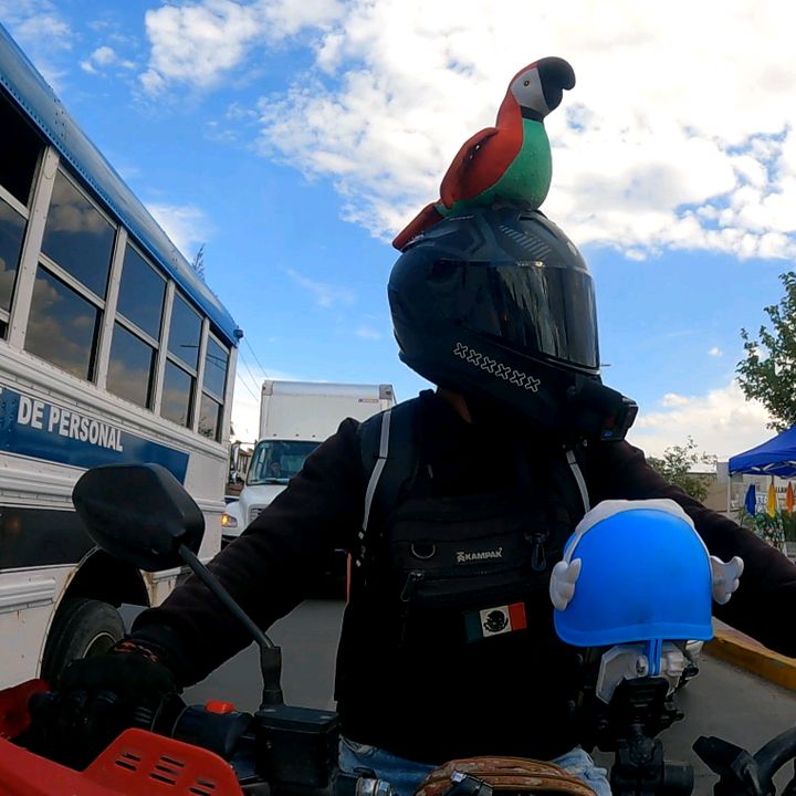 ELGUACAMAYO