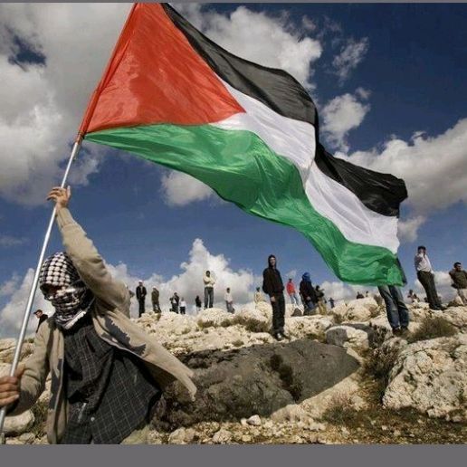 momy Alezha akun ke 2