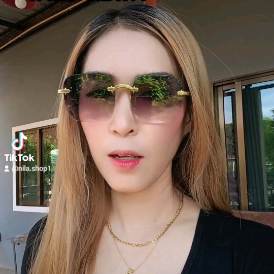 ทิพย์2529