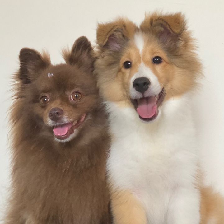 Cacau&Castanha