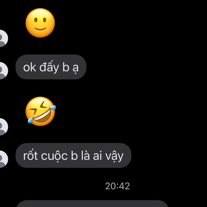 _diepngocnguyen_
