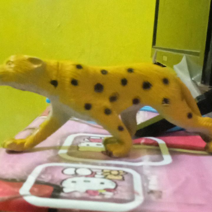 meyshya