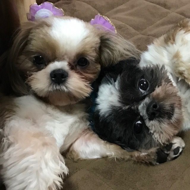 まあちゃん