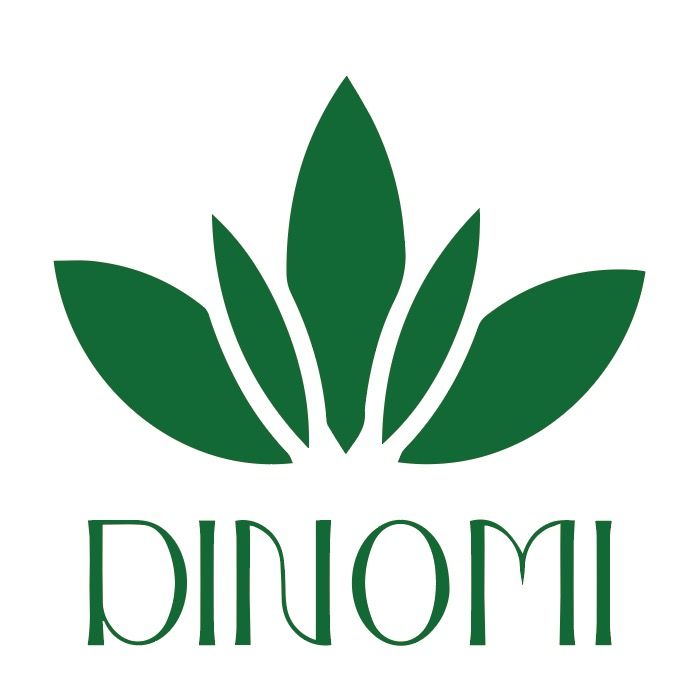 Dinomi13