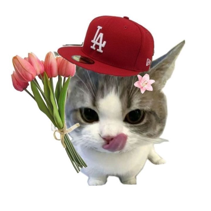PinkLady