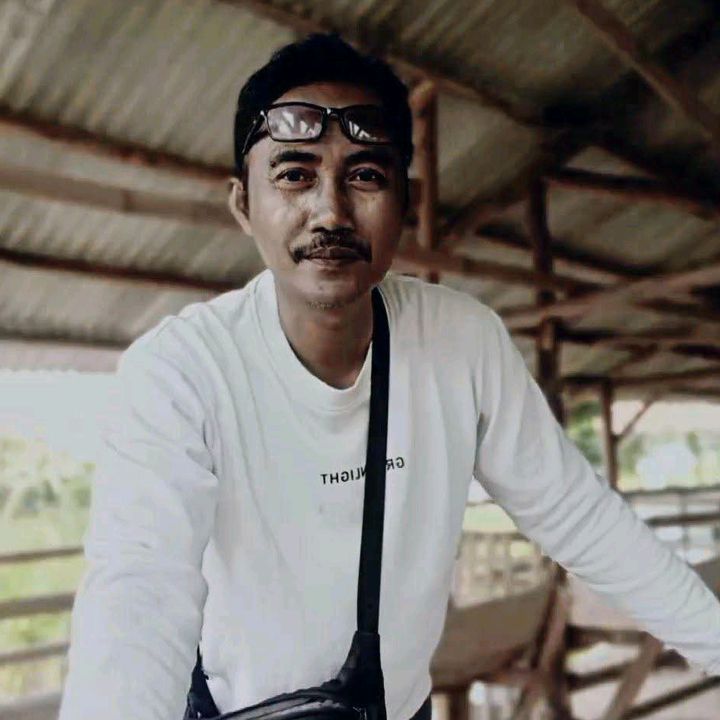 Samsul