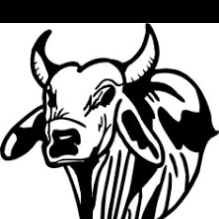 lourençopecuaria🐮