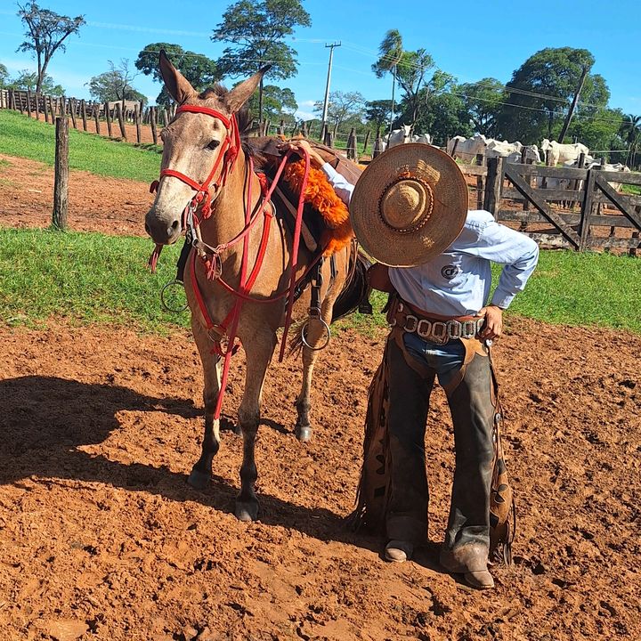 🪶"oohh DIAṢ̌ VEI "🇧🇷