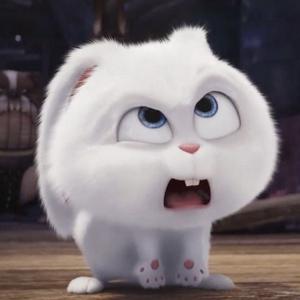 บอฟอใบเฟิน ◡̈