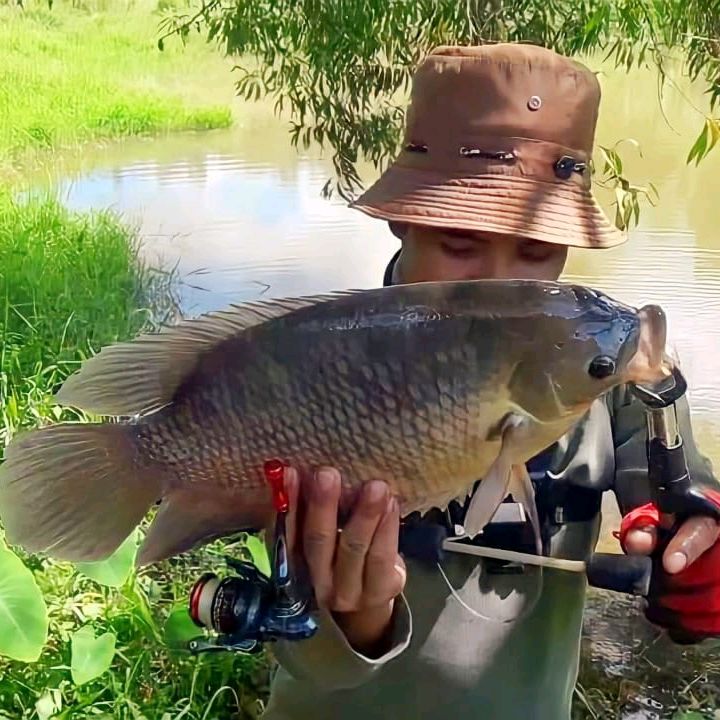 farif I kaki mancing