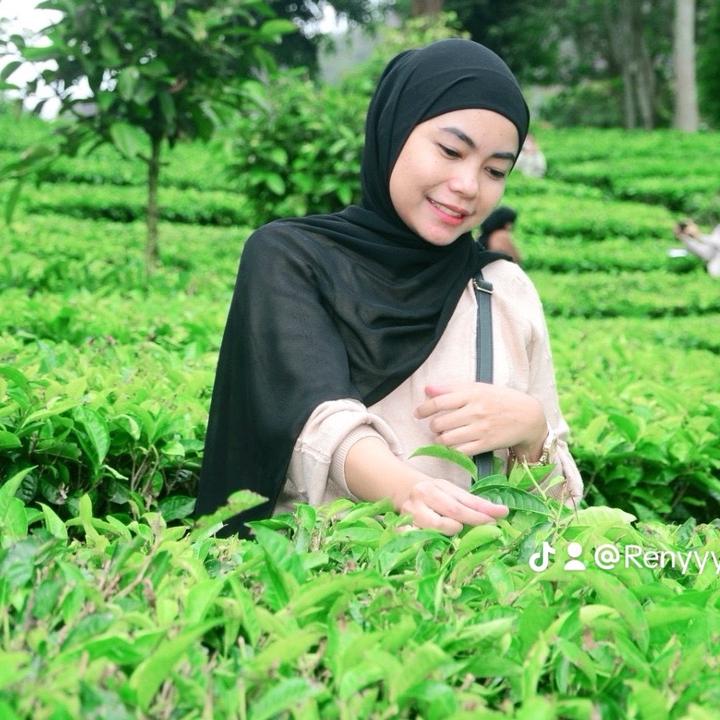 Renyyy_Shop