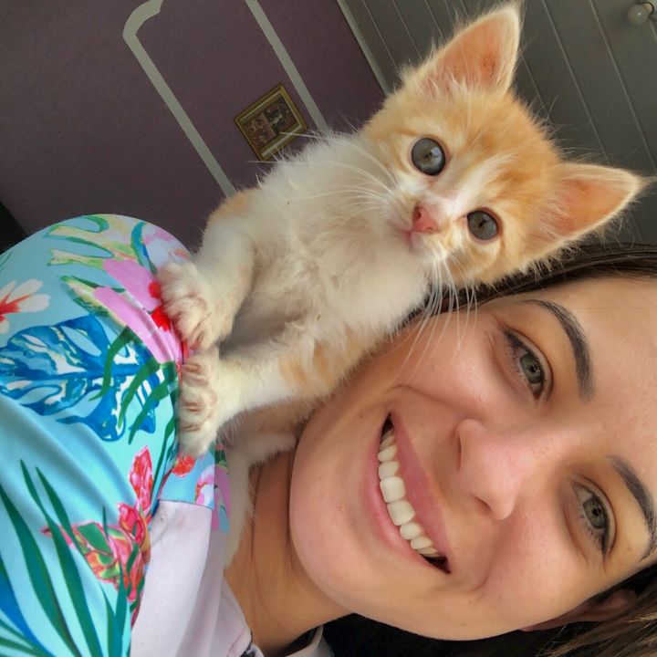 loheseuspets