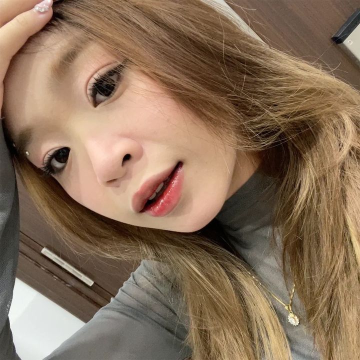 mèo không ăn hành 🧸
