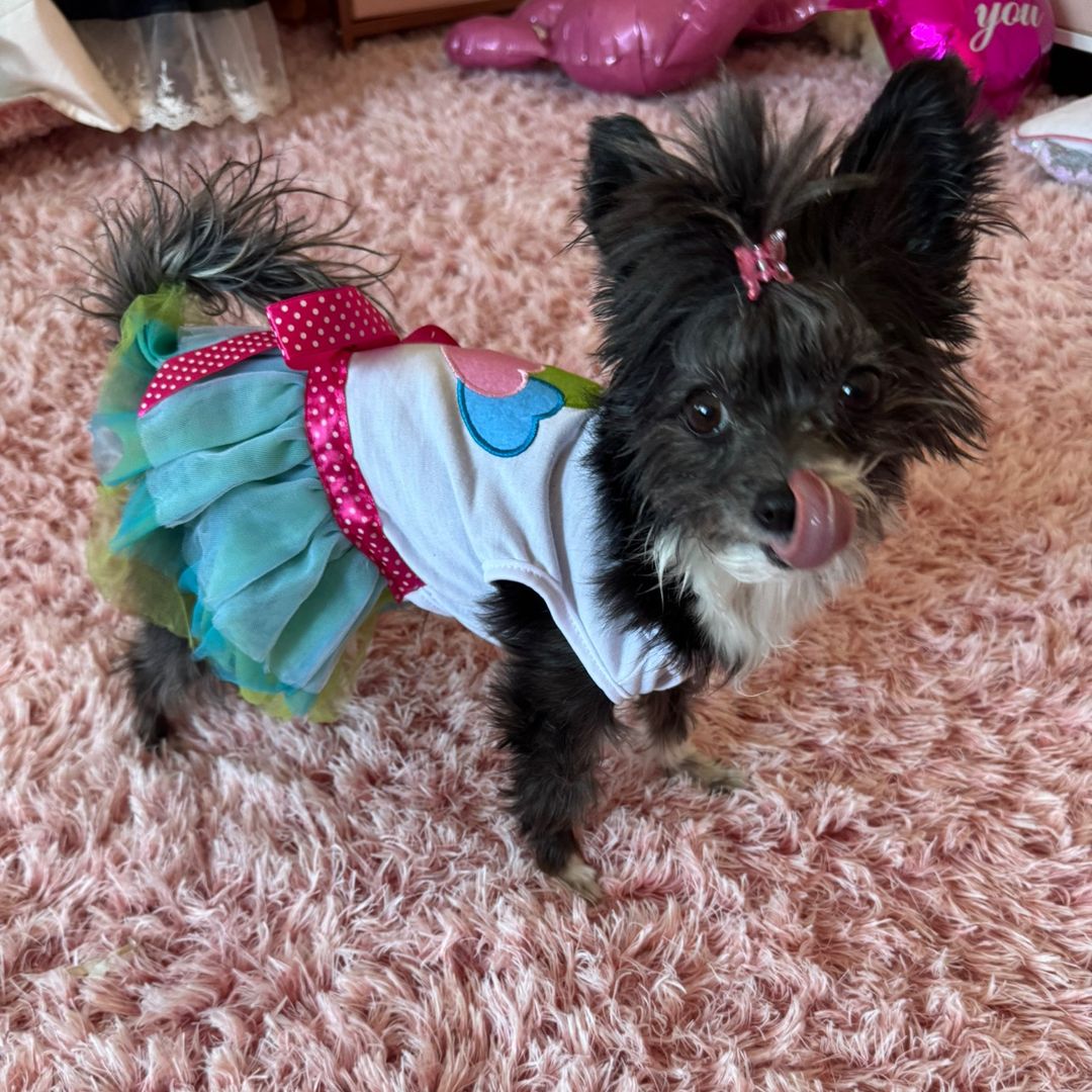 Galletita Guerrero