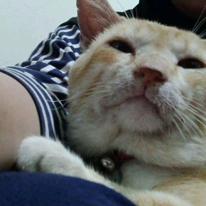 slmnalfrj