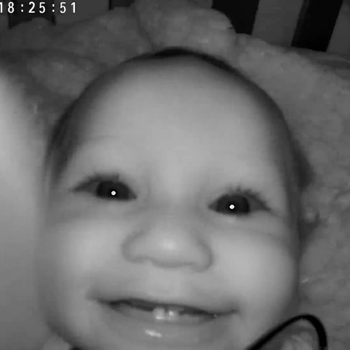 Ginas.Wrld