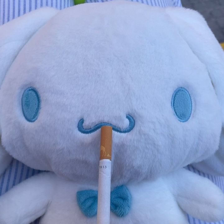 xinnamoroll3