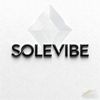 SOLEVIBE.MX