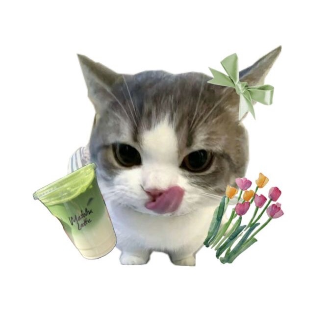 𔘓﹏ justj★i ๑ ִֶָ ✿