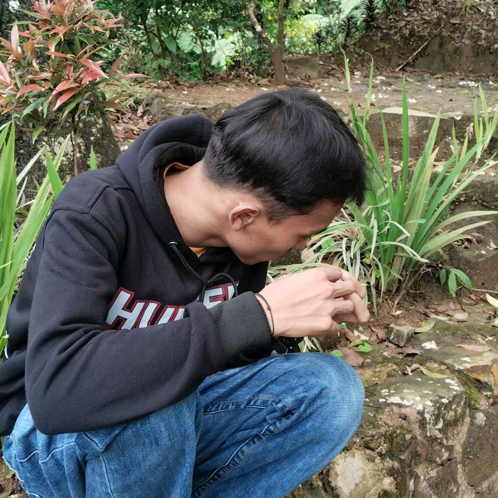 disaa
