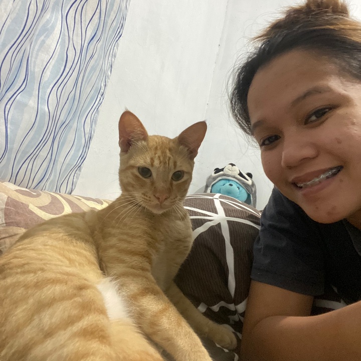 April & Cats ✨