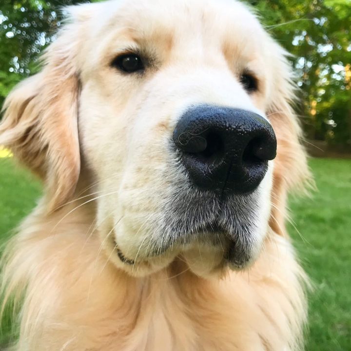 Beasleyboyyy